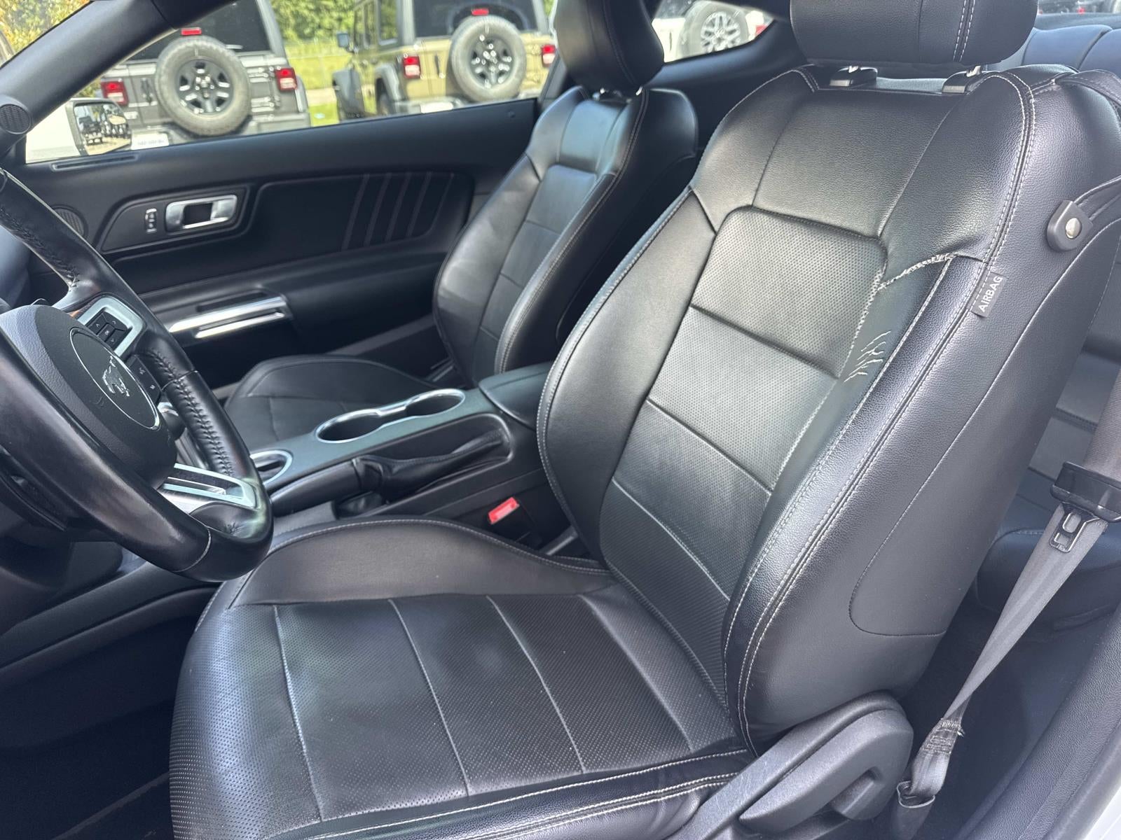 2019 Ford Mustang EcoBoost Fastback