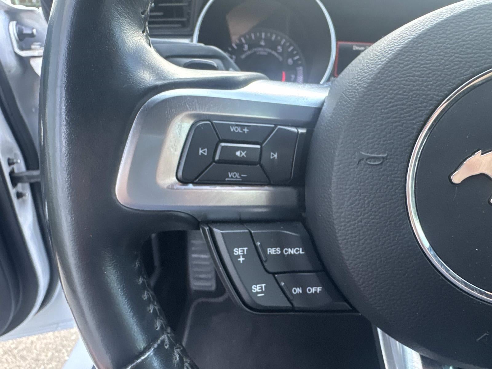 2019 Ford Mustang EcoBoost Fastback