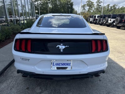 2019 Ford Mustang EcoBoost Fastback