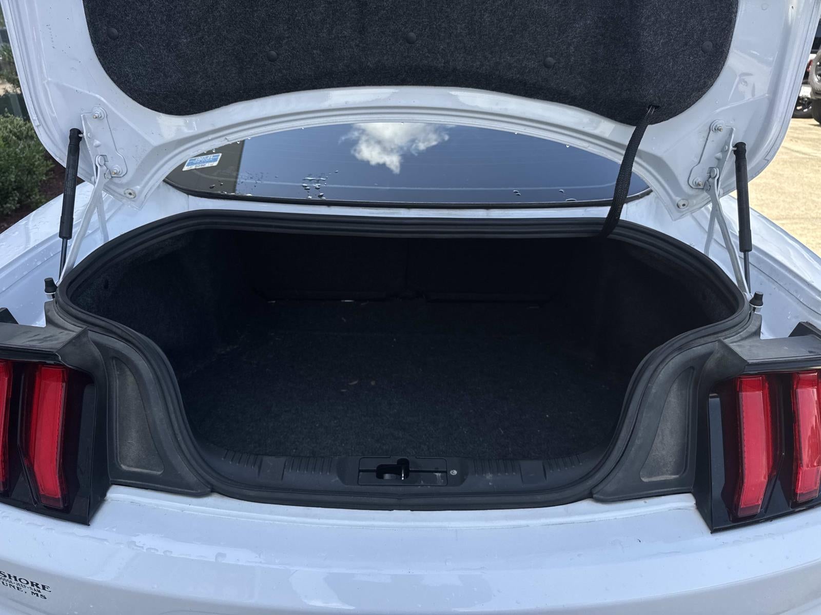 2019 Ford Mustang EcoBoost Fastback